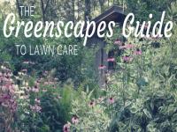 Greenscapes Guide to Lawn Care