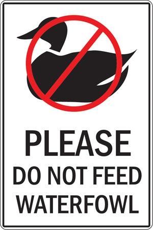Don't feed waterfowl