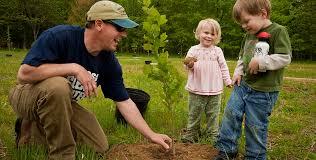 1000 TREES Project - dad and 2 kids planting a tree