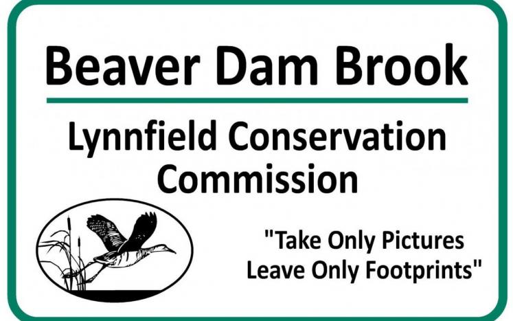 Beaver Dam Brook photo gallery - 01940
