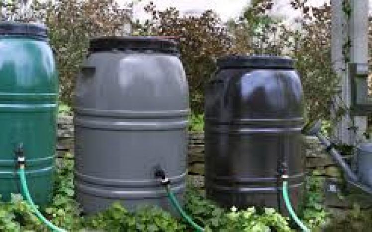 photo 3 rain barrels