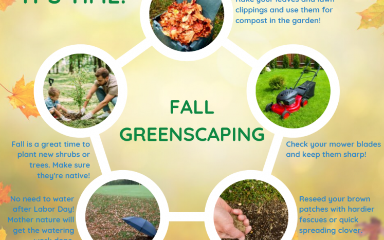 Graphic of Greenscapes "Fall Greenscaping"