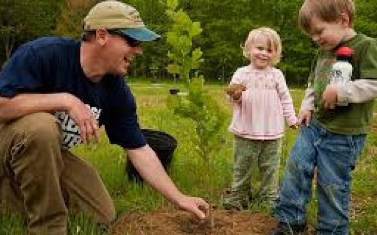 1000 TREES Project - dad and 2 kids planting a tree